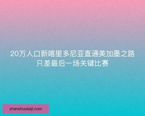 20万人口新喀里多尼亚直通美加墨之路只差最后一场关键比赛 20万人口新喀里多尼亚直通美加墨之路只差最后一场关键比赛