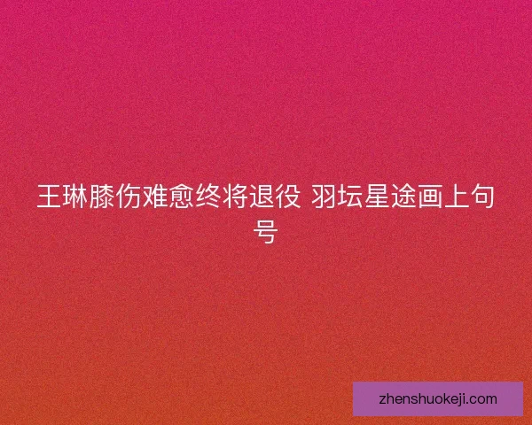 王琳膝伤难愈终将退役 羽坛星途画上句号 王琳膝伤难愈终将退役 羽坛星途画上句号