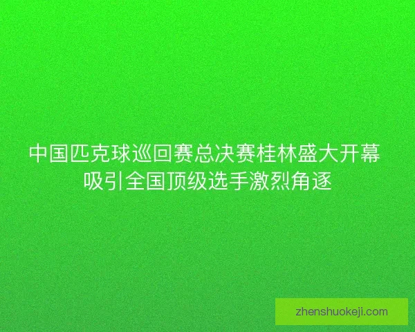 中国匹克球巡回赛总决赛桂林盛大开幕 吸引全国顶级选手激烈角逐 中国匹克球巡回赛总决赛桂林盛大开幕 吸引全国顶级选手激烈角逐