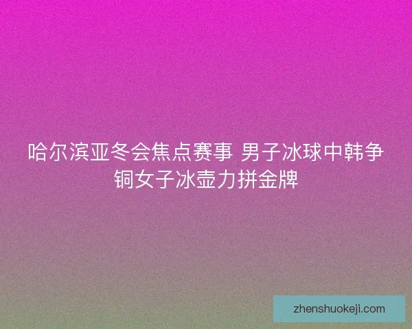 哈尔滨亚冬会焦点赛事 男子冰球中韩争铜女子冰壶力拼金牌