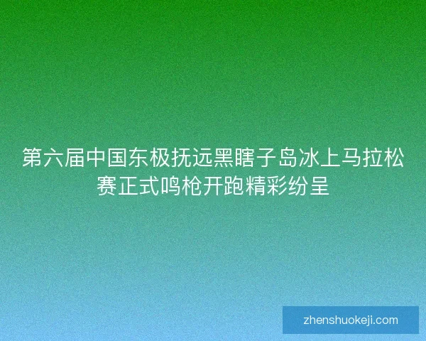 第六届中国东极抚远黑瞎子岛冰上马拉松赛正式鸣枪开跑精彩纷呈
