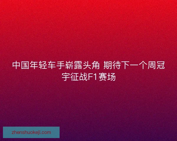 中国年轻车手崭露头角 期待下一个周冠宇征战F1赛场 中国年轻车手崭露头角 期待下一个周冠宇征战F1赛场